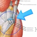 메디포스 운동 재활센터 이미지