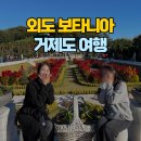 장승포체육공원 | 거제도 여행 외도 보타니아 유람선 입장료 관람후기!