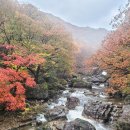 지리산 반야봉중턱 해발 1,500미터에 위치한 묘향대를 다녀왔습니다. 이미지