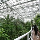 원촌삼거리~엑스포공원 이미지