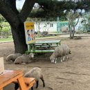 새별수산 이미지