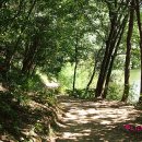 봉암동199 이미지