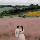 사색 | [웨딩] ep.05 제주 웨딩스냅 &#39;사색&#39; 후기