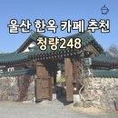 248 | 울산 한옥 카페 청량248 솔직 후기