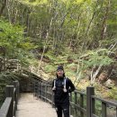 영남센터 | 가을 간월재 등산 코스 추천 : 영남알프스 복합웰컴센터 후기