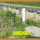 [포항 죽장]황씨아재 추천 전원주택지 남동향 2차선 도로 접＜공동구매하시면 좋습니다＞ 이미지