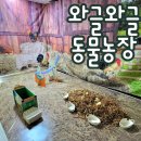 쌍산농장 | 광주 광산구 신가동 유치원 농장체험 부모참여수업 "와글와글 동물농장"
