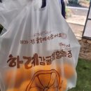 윤가농장 | 제주도여행 3일차 한라봉따기체험 애월읍에서 보낸 하루