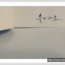바람이되어
