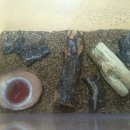 장풍이닷컴 이미지