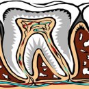 리온치과교정과치과의원 이미지
