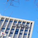 민화 이야기 | 인제문화원 | 도예가 심윤주 개인전 "도자로 만나는 민화 이야기 V" 관람 후기