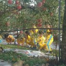 영동농협주유소 이미지