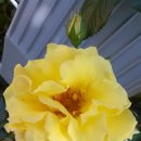 진호목장 이미지