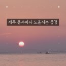 해질녘 네이버블로그