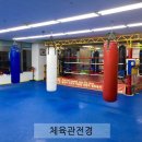 용인대GX복싱 네이버블로그