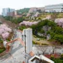 전남대학교 비욘드포스트