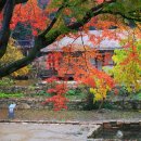 백운동정원 이미지