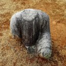 구례읍사무소 | 구례 논곡리 삼층석탑