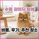 월드컵축산 | 수원 강아지 장례 불법이라고? 수원 강아지 장례식장 비용, 후기, 합법 시설 추천 2곳.