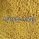 진도울금 이미지