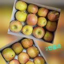 미얀마부사(미색과ㆍ흠과) 두박스찬조합니다 이미지