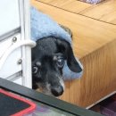 성유현 | 2024년 5월 일기