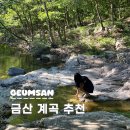 금산 현수막 | 금산 산림문화타운 계곡 남이자연휴양림 대전근교 평상 예약