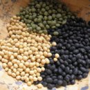 베스트웰빙 이미지