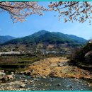 화개장터 이미지