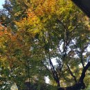 용산-이촌-518 이미지