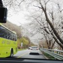구례 산수유자연휴양림 [차일봉]에서 하룻밤 – 자연 속 힐링 여행 후기