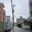 녹차콩물국수 이미지