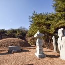 윤원거 묘비 이미지