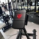 라스트짐(LAST GYM) | 괴정 라스트짐 등 운동 후기, 해머스트렝스 gym80 머신 제대로 써봤습니다