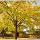 화랑포 충전소 이미지