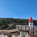 포항시북구67 | 포항 이가리닻전망대 생각보다 아찔했던 겨울여행지 ft. 입장료 주차