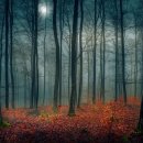 동탄역 | 동탄역눈썹문신 후기