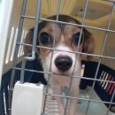 벨라켄넬 이미지