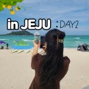 조이뜰 | 제주도여행 DAY2 일정 기록 (협재해수욕장, 마노르블랑 , 약천사 , 제주 올레시장 등)