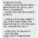 알로하파티풀