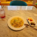 시원애견 이미지