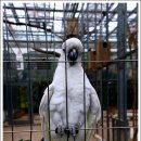 경주버드파크 이미지