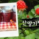 산딸기 - 김해시 번화1로68번길 19 | 산딸기