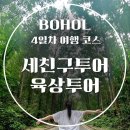 상구농장 | 보홀 자유여행 4일차 (세친구투어) 육상투어 / 로복강투어 / 안경원숭이 / 맨메이드 포레스트 / 초콜릿...