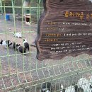 창원과학체험관 티스토리