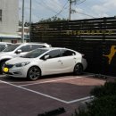 고려동물종합병원 이미지