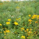 운중동 주민센터 이미지