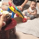 분당-243 이미지