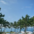 색달동-17 이미지